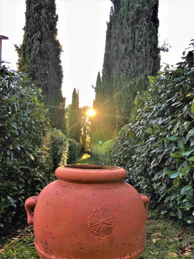 Danya Country Villa Sansepolcro Εξωτερικό φωτογραφία